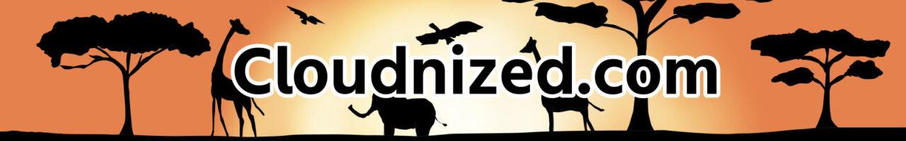 cloudnized.com